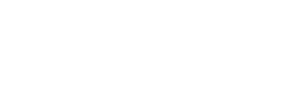 it service 4u logo 02
